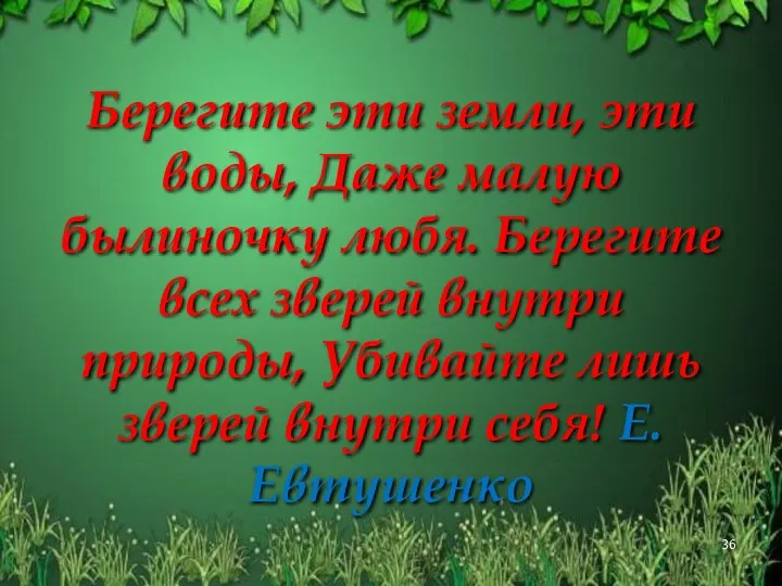 Берегите эти земли, эти воды, Даже малую былиночку любя. Берегите