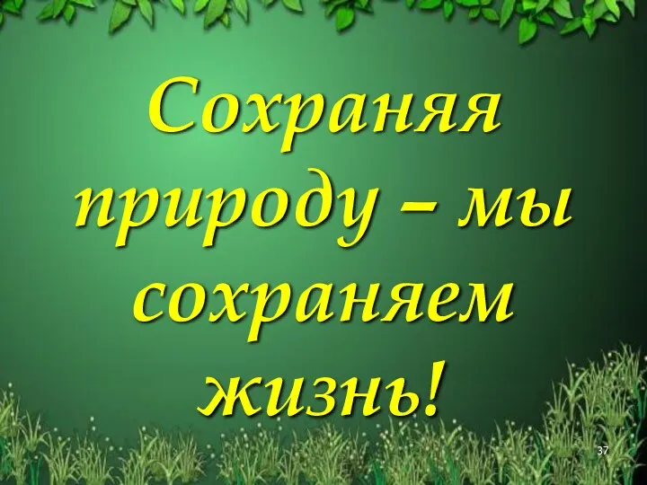 Сохраняя природу – мы сохраняем жизнь!