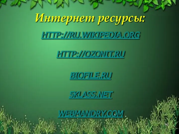 HTTP://RU.WIKIPEDIA.ORG HTTP://OZONIT.RU BIOFILE.RU 5KLASS.NET WEBMANDRY.COM Интернет ресурсы: 40