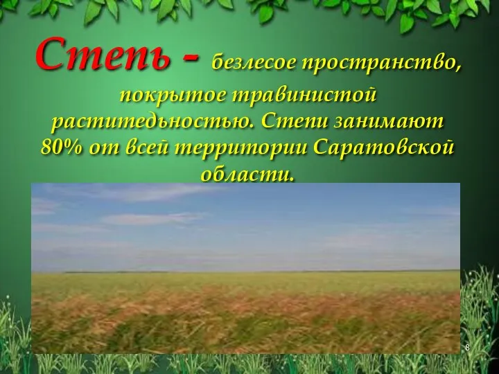 Степь - безлесое пространство, покрытое травинистой раститедьностью. Степи занимают 80% от всей территории Саратовской области. *