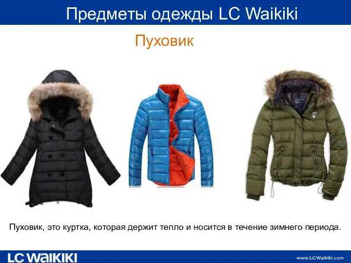 Предметы одежды LC Waikiki Пуховик Пуховик, это куртка, которая держит