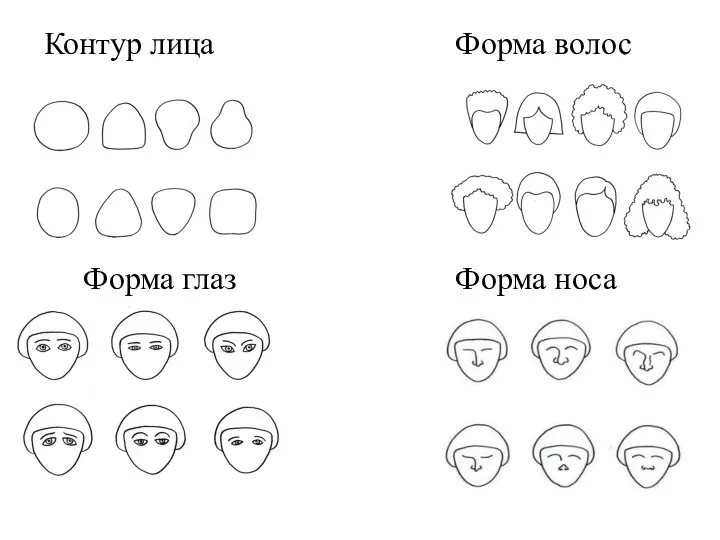 Контур лица Форма волос Форма глаз Форма носа