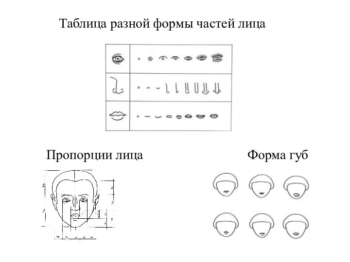 Таблица разной формы частей лица Пропорции лица Форма губ