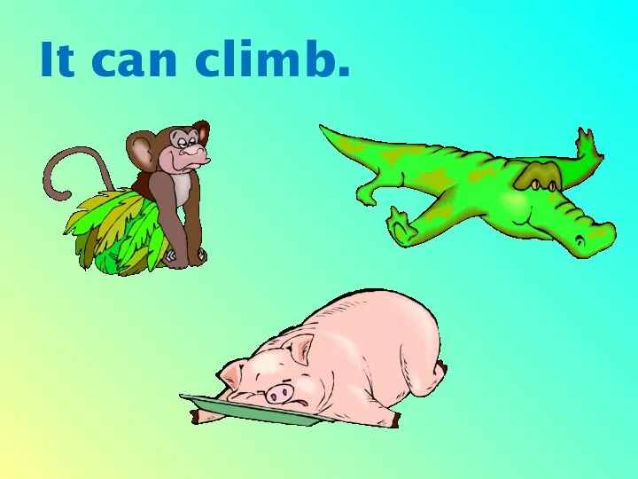 It can climb.