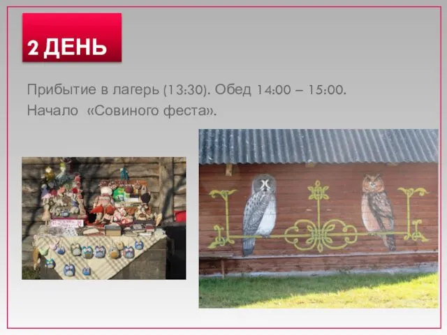 Прибытие в лагерь (13:30). Обед 14:00 – 15:00. Начало «Совиного феста». 2 ДЕНЬ