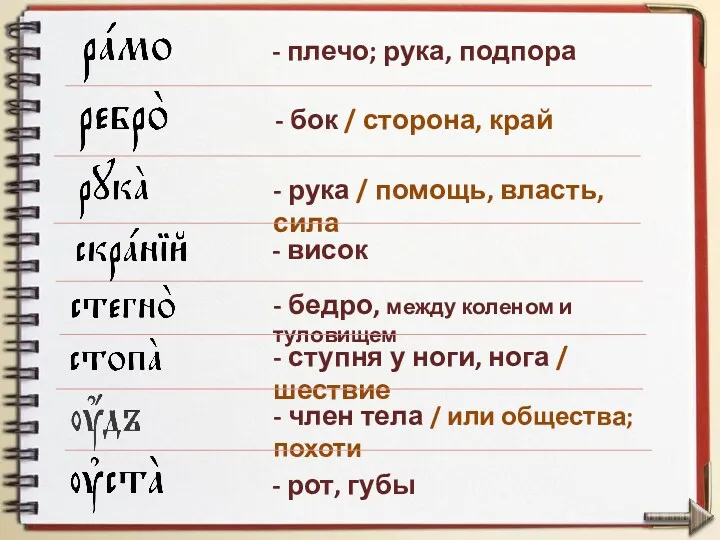 - рука / помощь, власть, сила - висок - бедро,