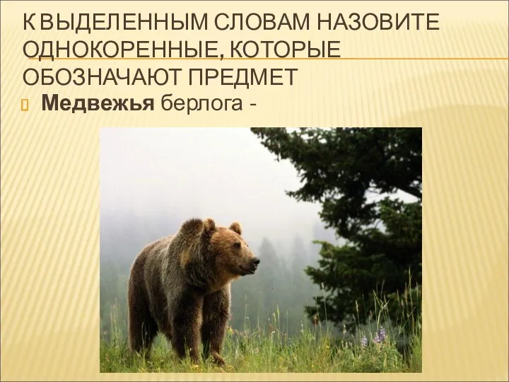 К ВЫДЕЛЕННЫМ СЛОВАМ НАЗОВИТЕ ОДНОКОРЕННЫЕ, КОТОРЫЕ ОБОЗНАЧАЮТ ПРЕДМЕТ Медвежья берлога -