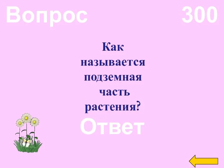 Вопрос 300 Ответ Как называется подземная часть растения?