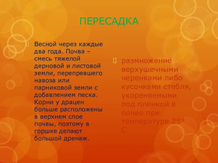 ПЕРЕСАДКА Весной через каждые два года. Почва – смесь тяжелой