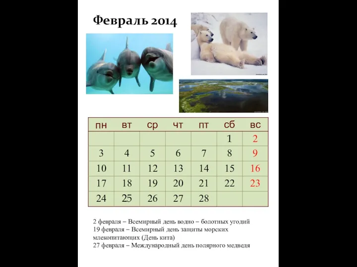 Февраль 2014 2 февраля – Всемирный день водно – болотных