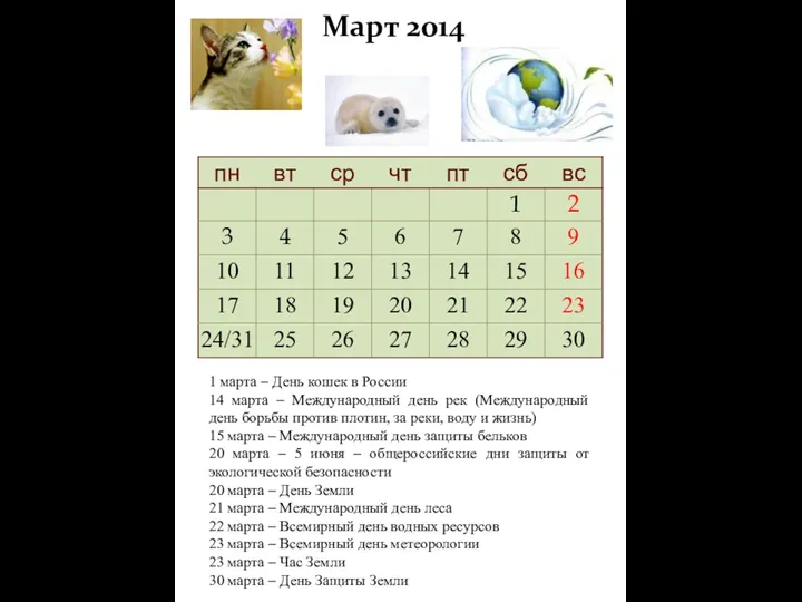 Март 2014 1 марта – День кошек в России 14