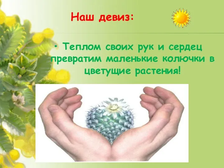 Наш девиз: Теплом своих рук и сердец превратим маленькие колючки в цветущие растения!