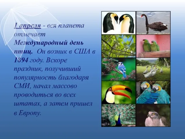 1 апреля - вся планета отмечает Международный день птиц. Он
