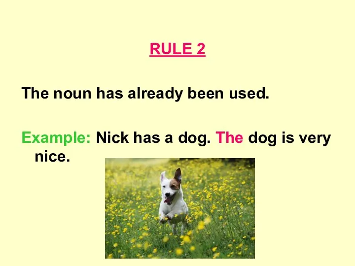 RULE 2 The noun has already been used. Example: Nick has a dog.