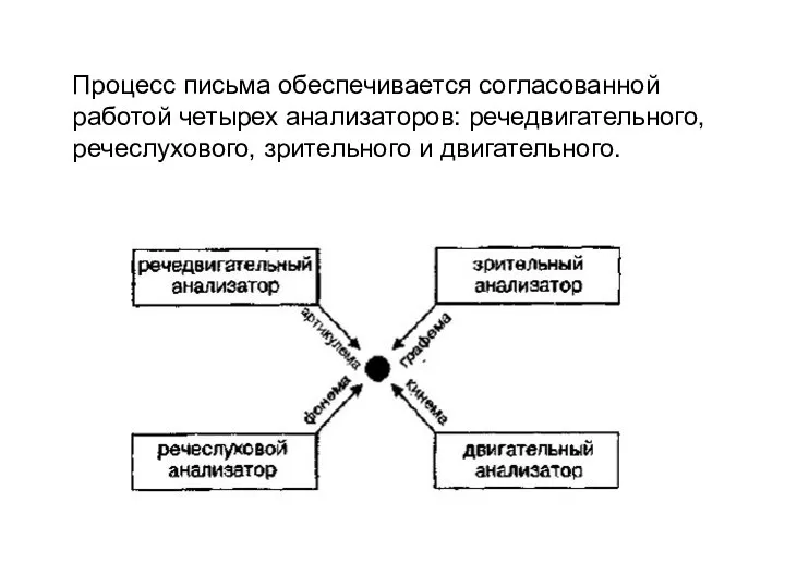 Процесс письма обеспечивается согласованной работой четырех анализаторов: речедвигательного, речеслухового, зрительного и двигательного.