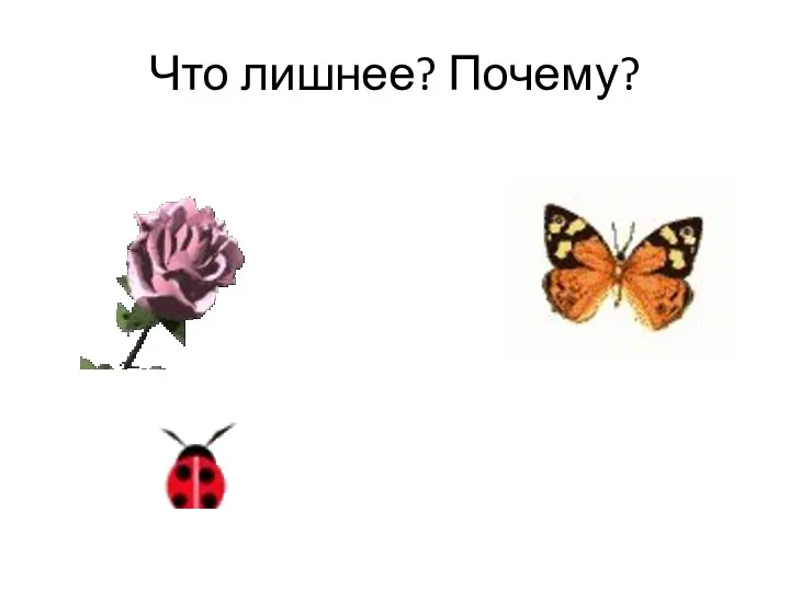 Что лишнее? Почему?