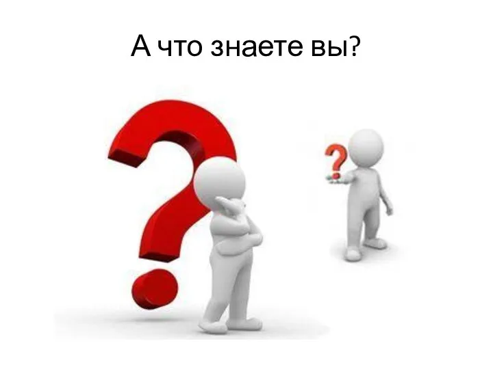 А что знаете вы?