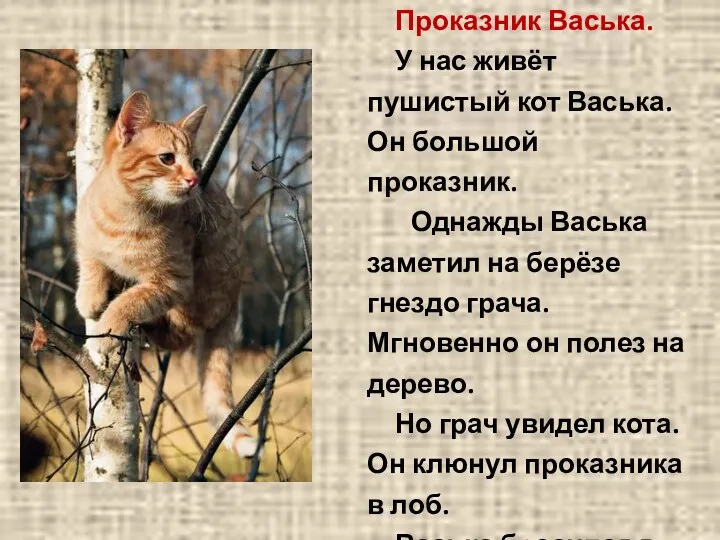 Проказник Васька. У нас живёт пушистый кот Васька. Он большой проказник. Однажды Васька