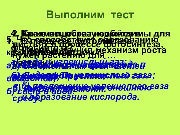 Выполним тест В процессе фотосинтеза происходит … а) поглощение кислорода