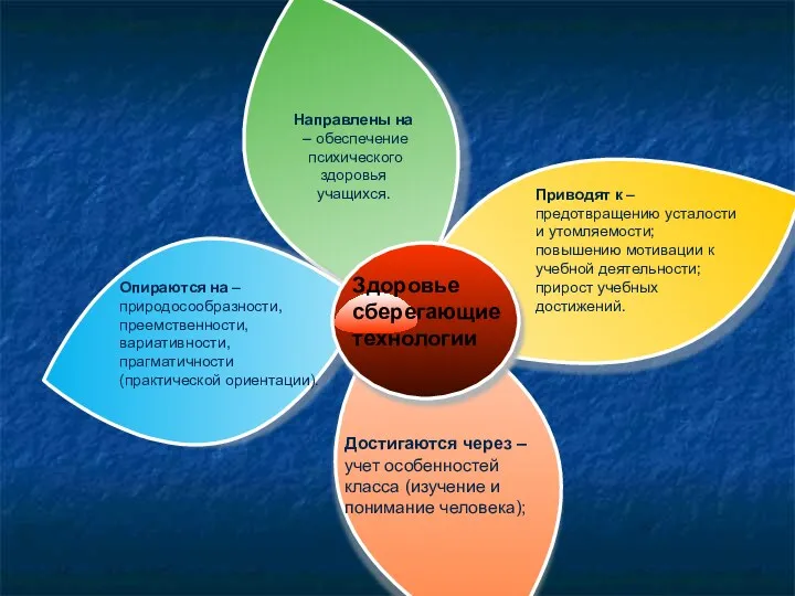 Опираются на – природосообразности, преемственности, вариативности, прагматичности (практической ориентации). Приводят