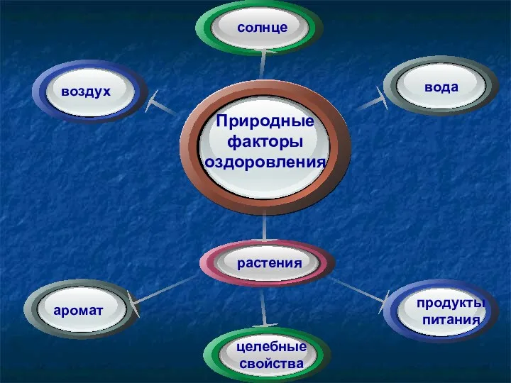 Природные факторы оздоровления солнце воздух вода растения аромат целебные свойства продукты питания