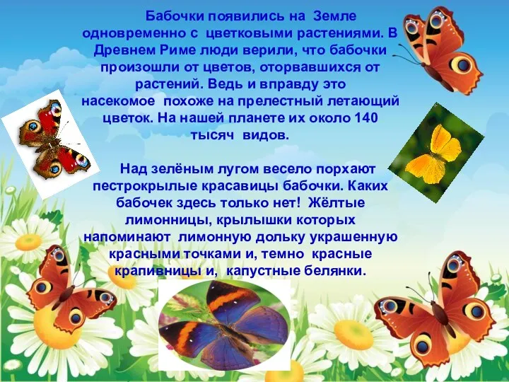 Бабочки появились на Земле одновременно с цветковыми растениями. В Древнем