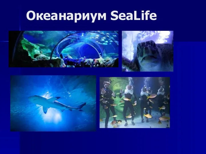 Океанариум SeaLife