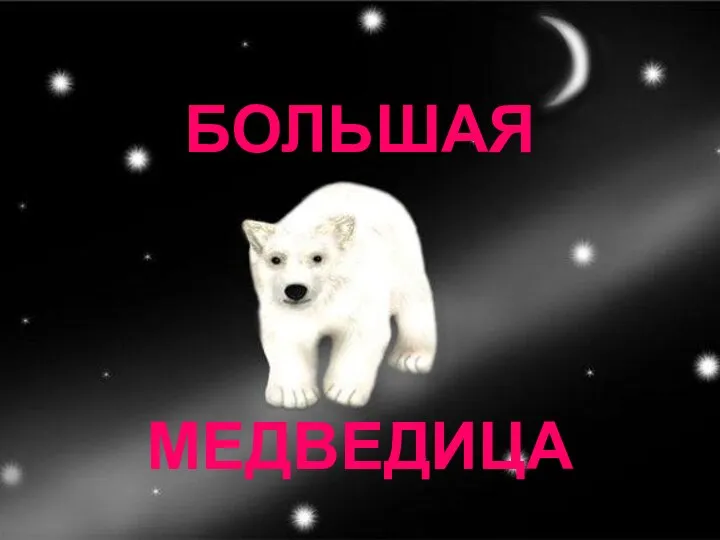 БОЛЬШАЯ МЕДВЕДИЦА