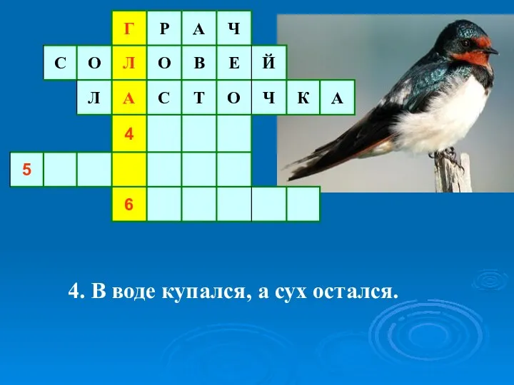 4. В воде купался, а сух остался.