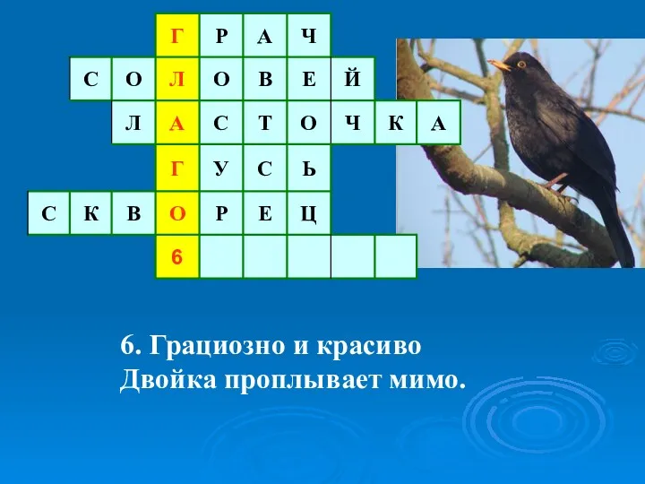 6. Грациозно и красиво Двойка проплывает мимо.