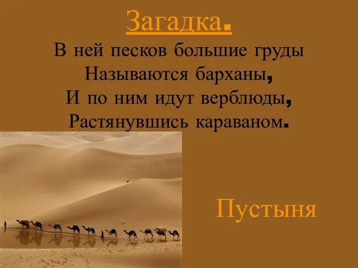 Загадка. В ней песков большие груды Называются барханы, И по ним идут верблюды, Растянувшись караваном. Пустыня