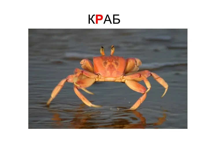 КРАБ