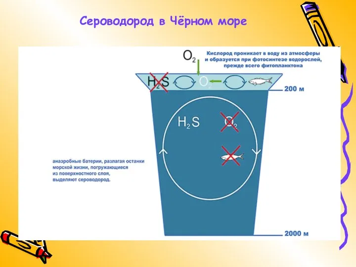 Сероводород в Чёрном море