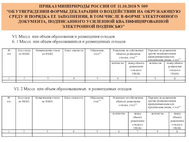 ПРИКАЗ МИНПРИРОДЫ РОССИИ ОТ 11.10.2018 N 509 "ОБ УТВЕРЖДЕНИИ ФОРМЫ