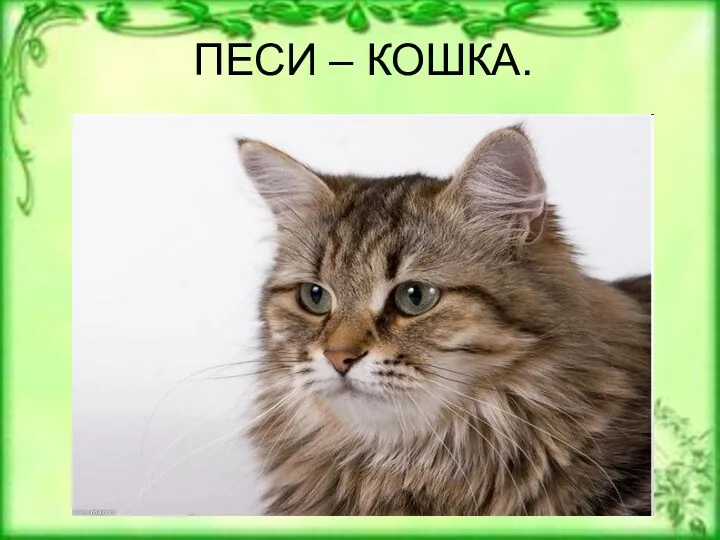 ПЕСИ – КОШКА.