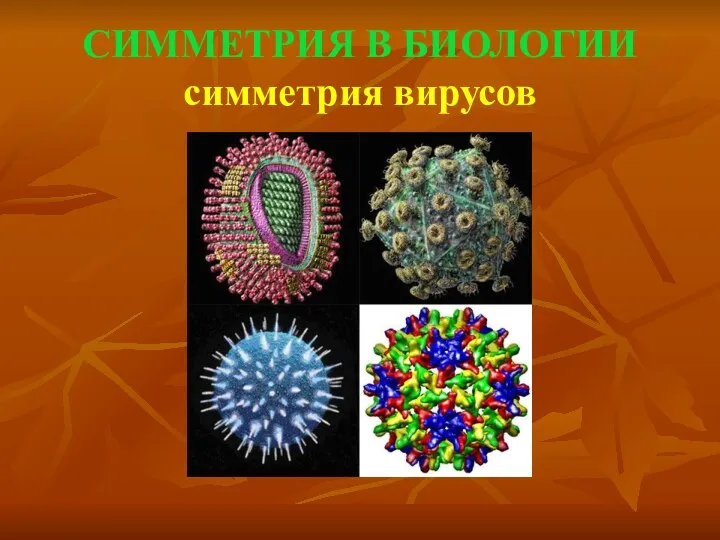 СИММЕТРИЯ В БИОЛОГИИ симметрия вирусов
