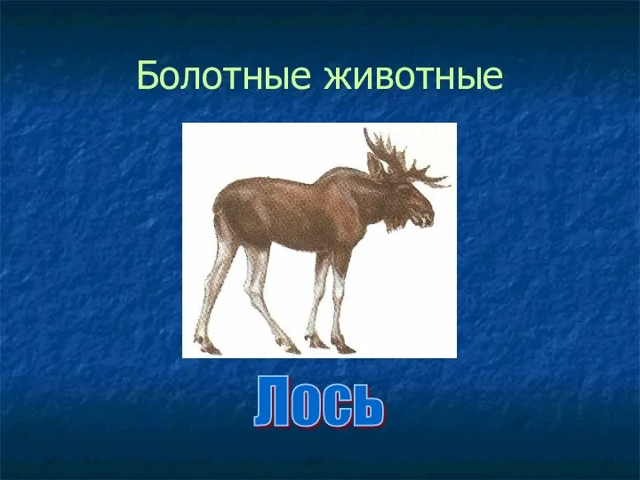 Болотные животные Лось