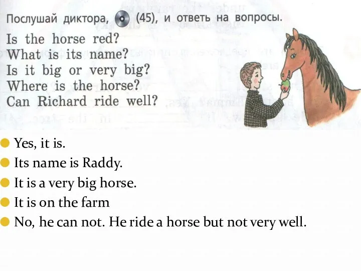 Yes, it is. Its name is Raddy. It is a very big horse.