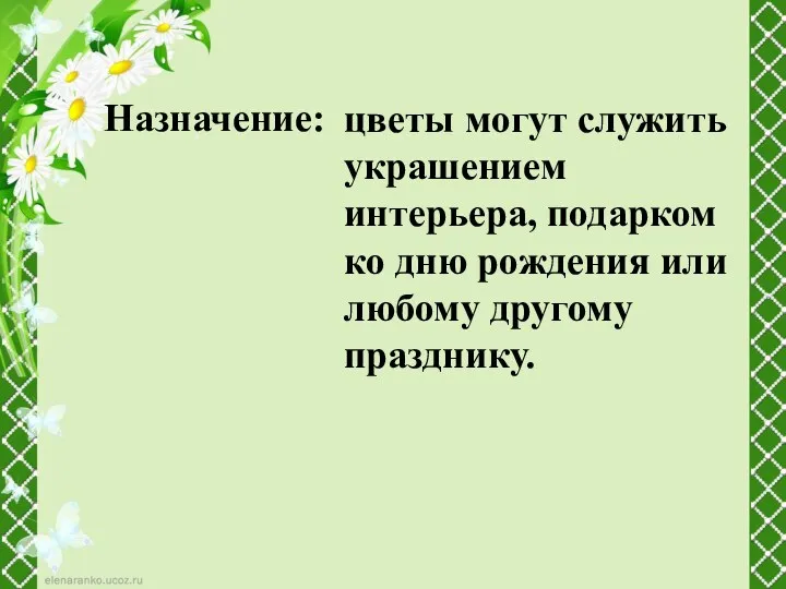 Назначение: цветы могут служить украшением интерьера, подарком ко дню рождения или любому другому празднику.