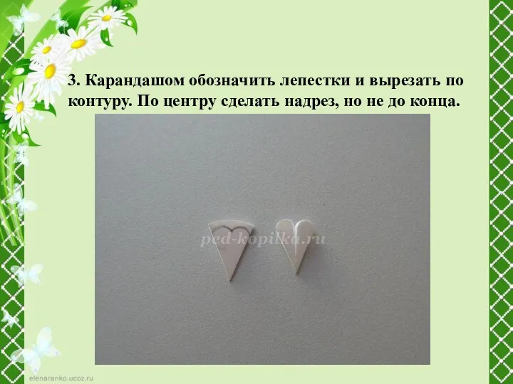 3. Карандашом обозначить лепестки и вырезать по контуру. По центру сделать надрез, но не до конца.