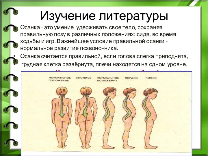 Изучение литературы Осанка - это умение удерживать свое тело, сохраняя