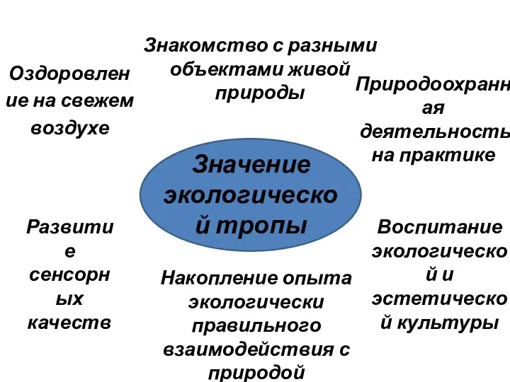 Значение экологической тропы Знакомство с разными объектами живой природы Накопление опыта экологически правильного