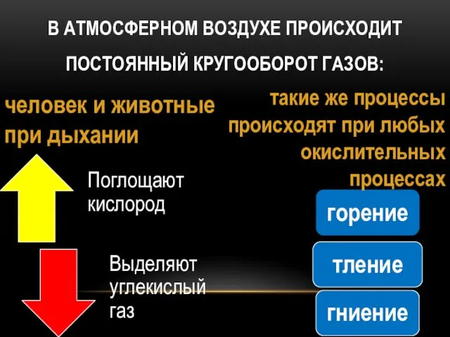 В АТМОСФЕРНОМ ВОЗДУХЕ ПРОИСХОДИТ ПОСТОЯННЫЙ КРУГООБОРОТ ГАЗОВ: человек и животные