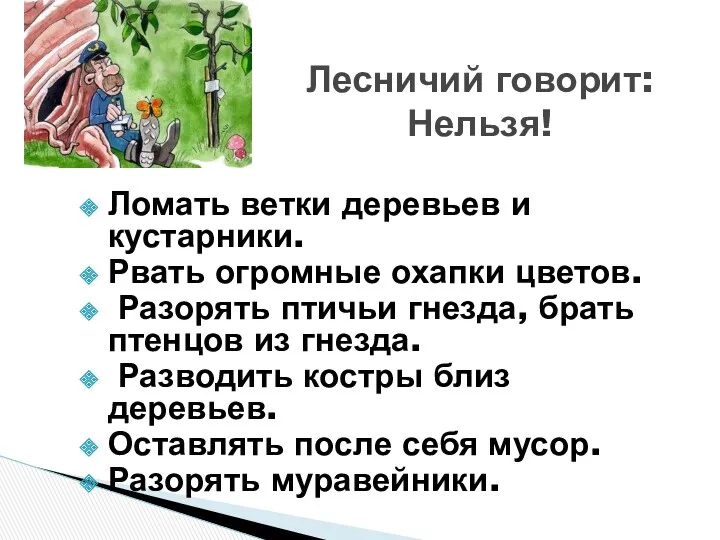 Ломать ветки деревьев и кустарники. Рвать огромные охапки цветов. Разорять