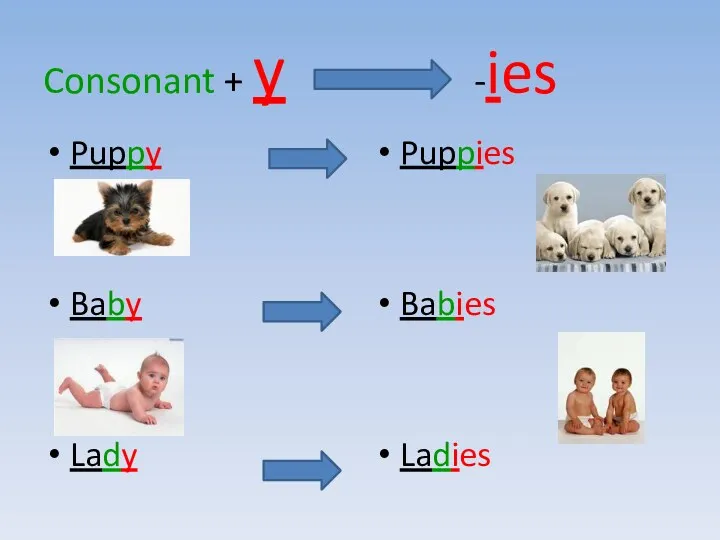 Consonant + y -ies Puppy Baby Lady Puppies Babies Ladies