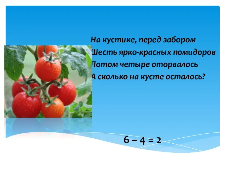 На кустике, перед забором Шесть ярко-красных помидоров Потом четыре оторвалось