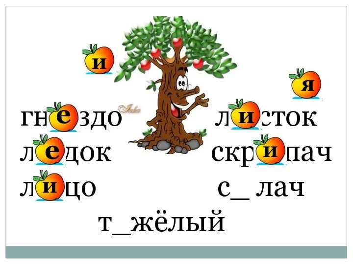 гн_ здо л_ сток л_ док скр_ пач л_ цо