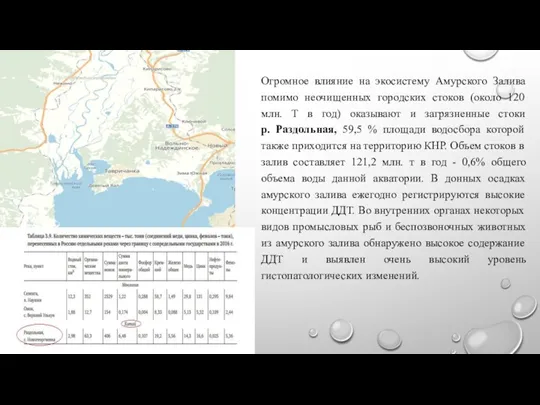 Огромное влияние на экосистему Амурского Залива помимо неочищенных городских стоков