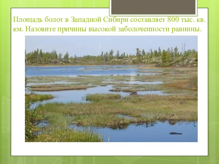 Площадь болот в Западной Сибири составляет 800 тыс. кв. км. Назовите причины высокой заболоченности равнины.