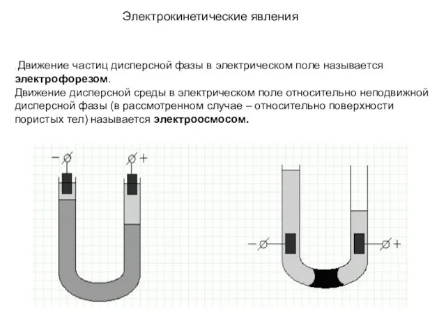 . Движение частиц дисперсной фазы в электрическом поле называется электрофорезом.